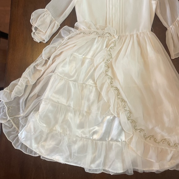 Chasing Fireflies Fancy Dress - Picture 5 of 8